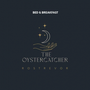 The Oystercatcher